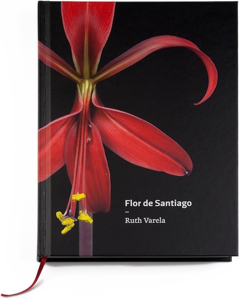 Libro Flor de Santiago